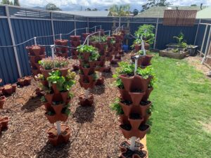 Eco-friendly Hydroponic Farm 